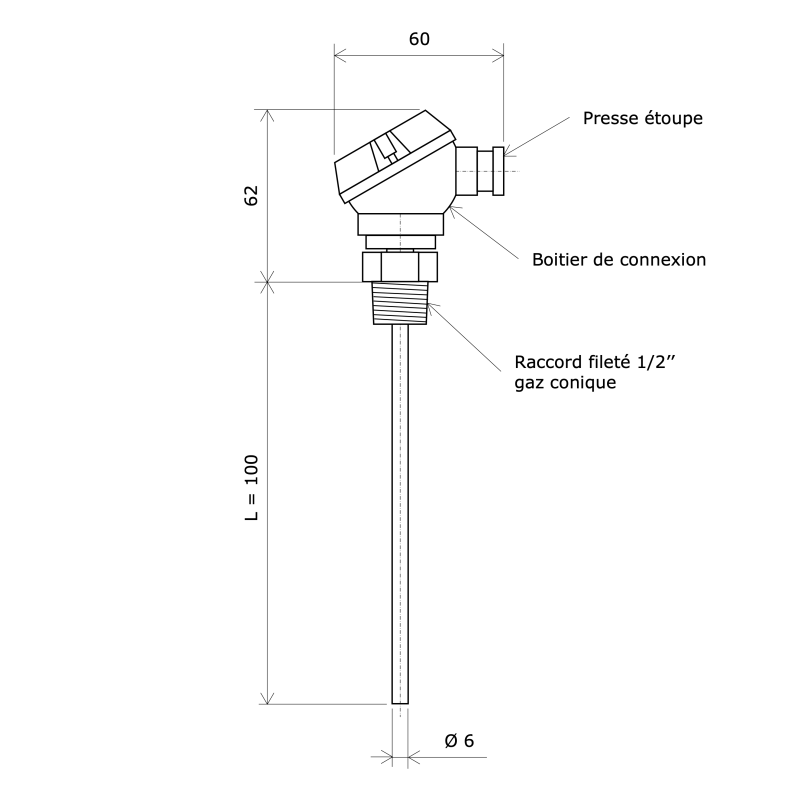 Sonde Pt100 rigide Ø6 mm avec boitier et raccord 1 2 BSPT L 100 mm