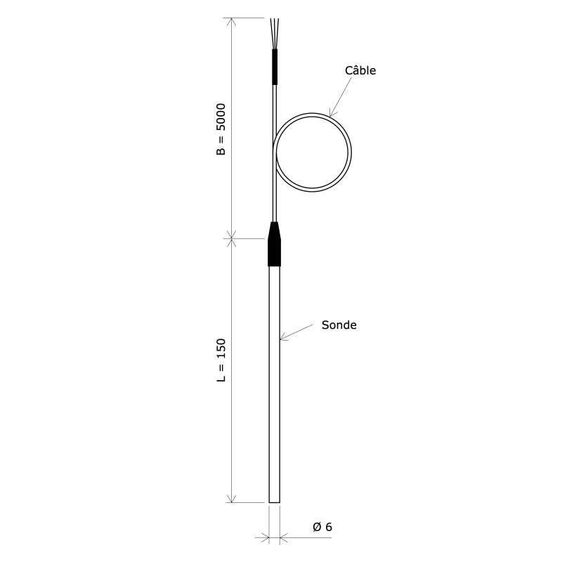 Sonde Pt Mm Rigide Avec Sortie C Ble Pvc L Mm Vulcanic