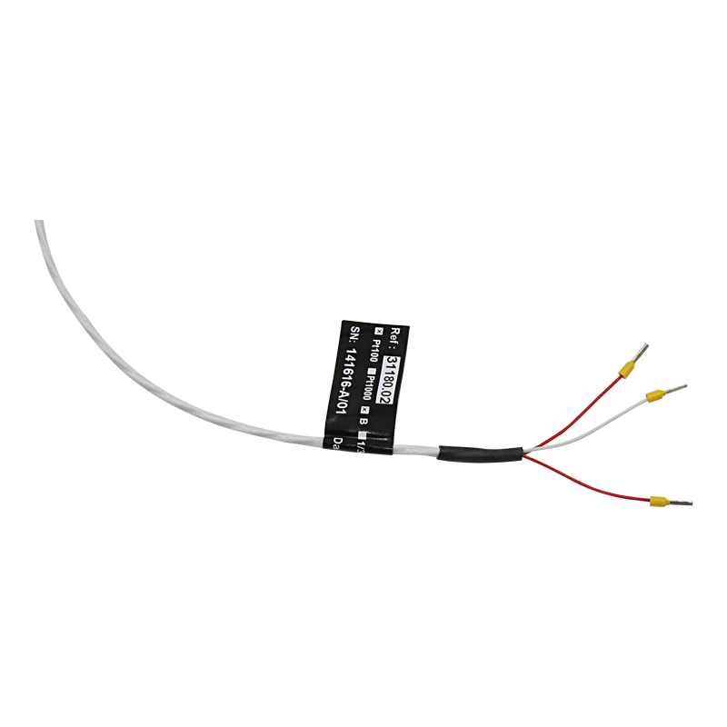 Pt100 probe for surface temperature measurement with flat tip and 3000 ...