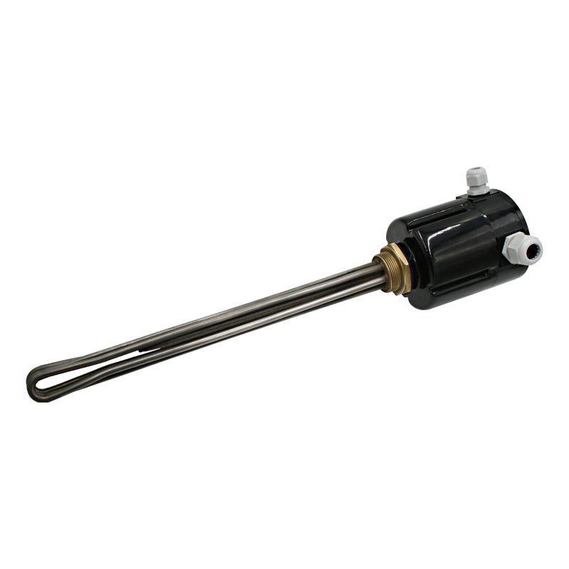 Screw plug immersion heater 1''1/2 211813 2 PE Vulcanic View1