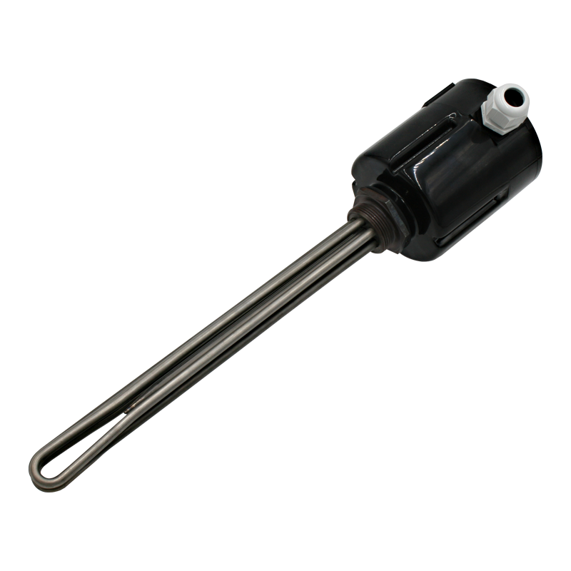 Screw plug immersion heater 1''1/2 211901 1 PE Vulcanic View1