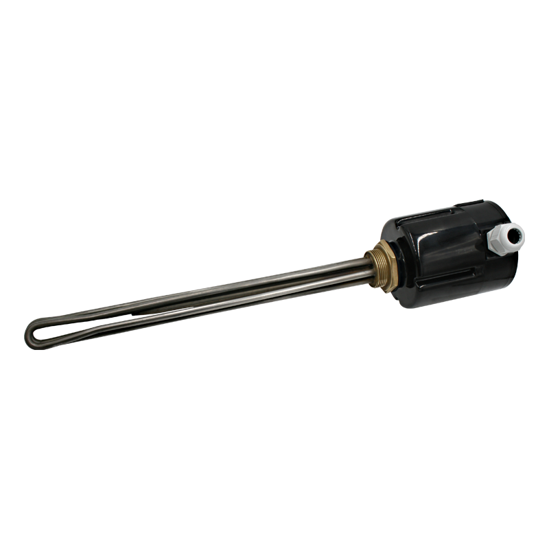 Screw plug immersion heater 1''1/2 211813 1 PE Vulcanic View1