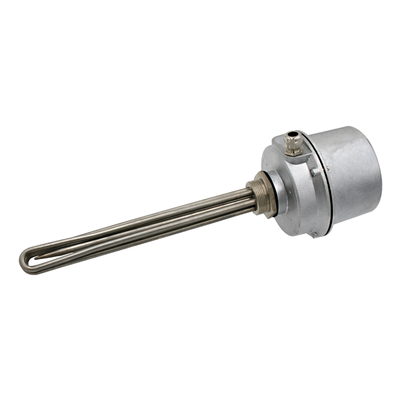 Screw plug immersion heater 1''1/2 212024 1 PE Vulcanic View1