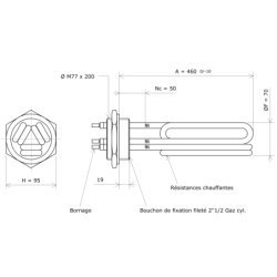 Thermoplongeur à visser 2''1/2 207742 Vulcanic Plan