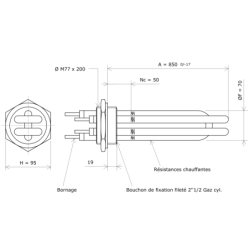 Thermoplongeur à visser 2''1/2 207791 Vulcanic Plan