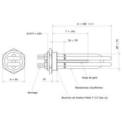 Thermoplongeur à visser 2''1/2 232302 Vulcanic Plan