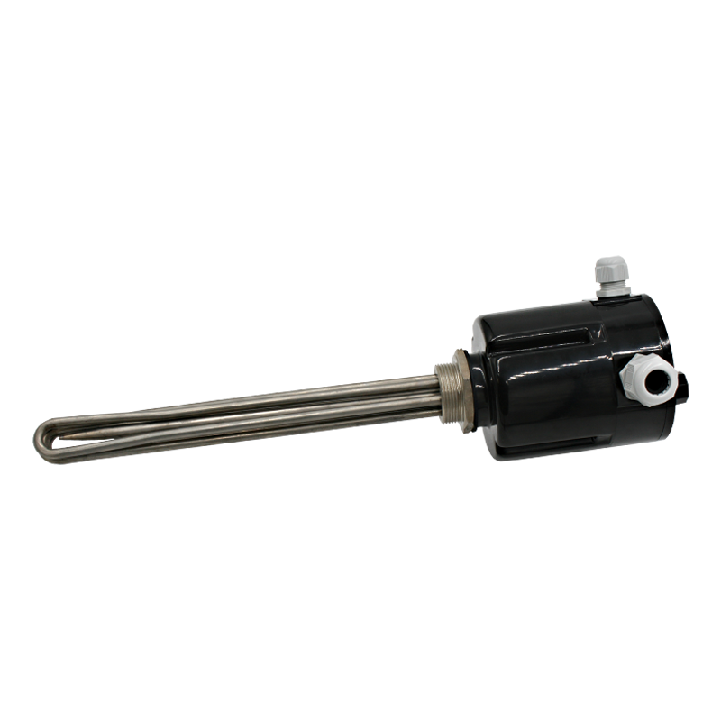 Screw plug immersion heater 1''1/2 211824 2 PE Vulcanic View1 Screw plug immersion heater 1''1/2 211824 2 PE Vulcanic View1
