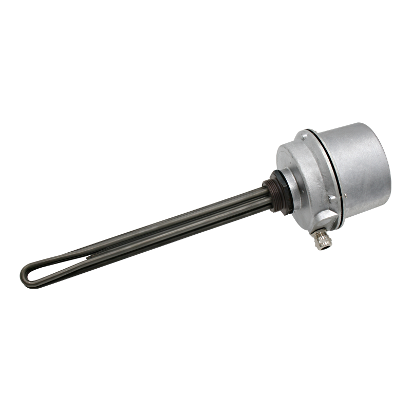 Screw plug immersion heater 1''1/2 212001 1 PE Vulcanic View1