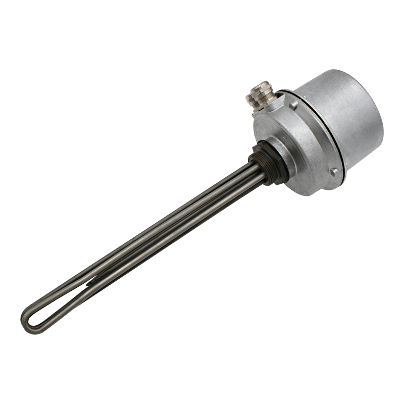 Screw plug immersion heater 1''1/2 212001 2 PE Vulcanic View1