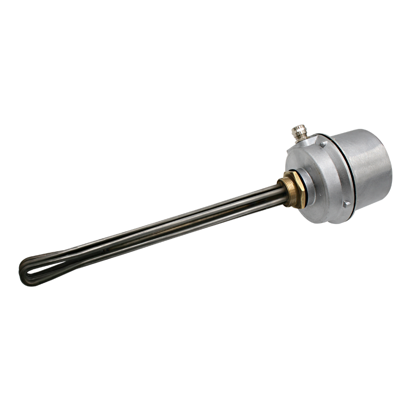 Screw plug immersion heater 1''1/2 212013 1 PE Vulcanic View1