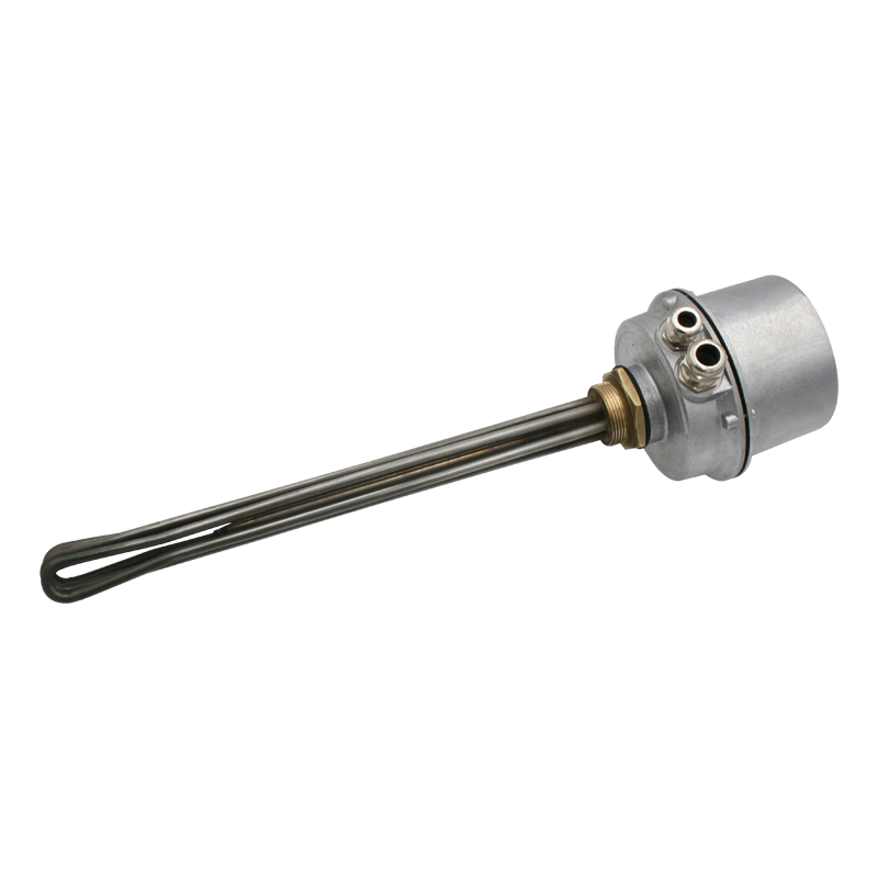 Screw plug immersion heater 1''1/2 212013 2 PE Vulcanic View1