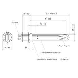 Thermoplongeur à visser 1''1/2 221403 Vulcanic Plan