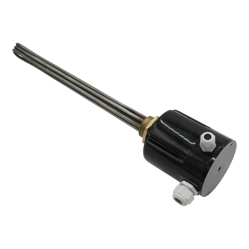 Screw plug immersion heater 1''1/2 211913 2 PE Vulcanic View1