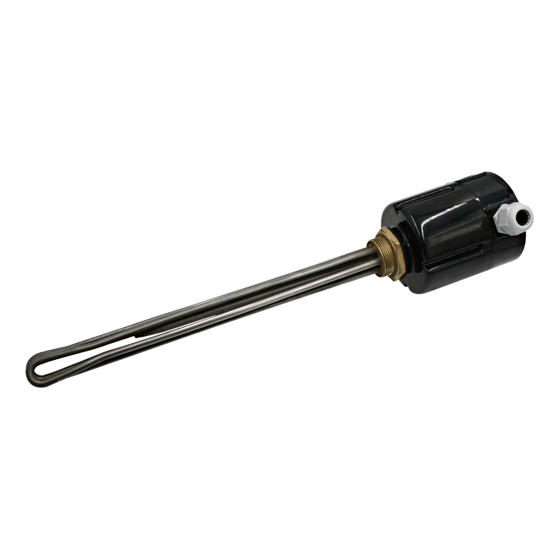 Screw plug immersion heater 1''1/2 211913 1 PE Vulcanic View1