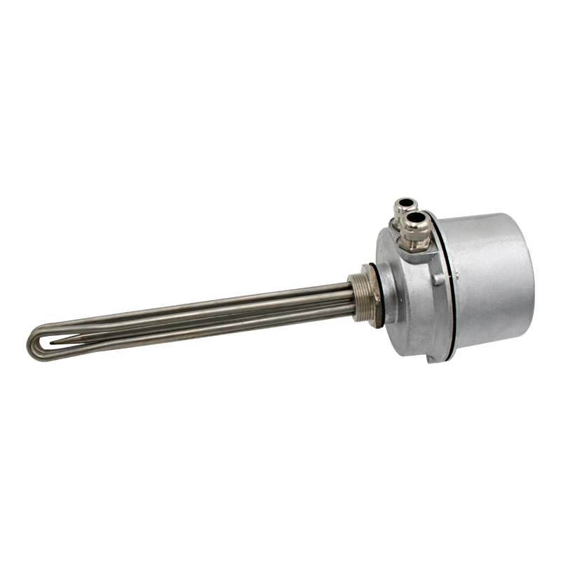 Screw plug immersion heater 1''1/2 212024 2 PE Vulcanic View1