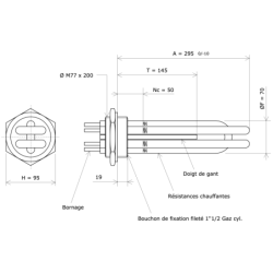 Thermoplongeur à visser 2''1/2 232380 Vulcanic Plan