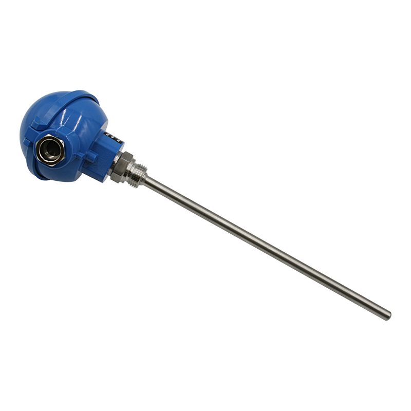 Pt100 probe with head and interchangeable element Vulcanic View1