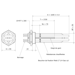 Thermoplongeur à visser 2''1/4 521429 Vulcanic Plan